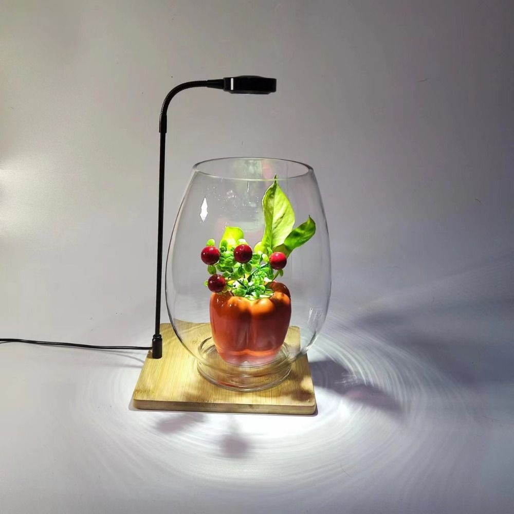 Aquarium Plant On Wood - 10 W Aquarium-Pflanzenfülllampe mit Holzbrett, LED-Licht,