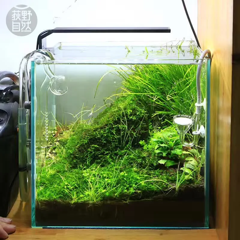 Planted Aquarium Pendant Light - Spirituosen C-Serie ADA-Stil Pflanze wachsen LED-Licht