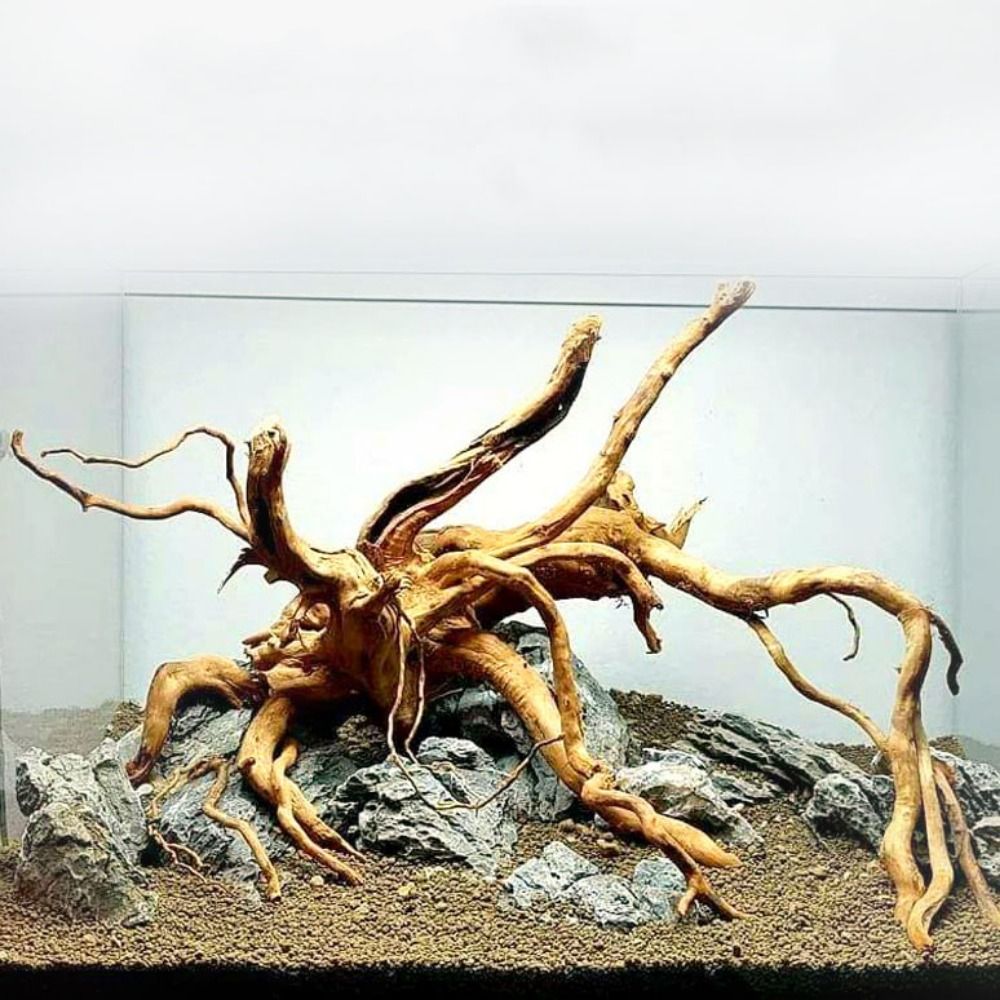 Aquarium Plant Guide - 20-25CM Großes Aquarium-Treibholz, Natürliche Fischbecken-Pflanzendekoration, Baumstumpf