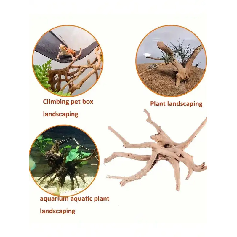 Natürliches Treibholz zur Aqua – Aquarium Plant Guide Bewertung und Preis