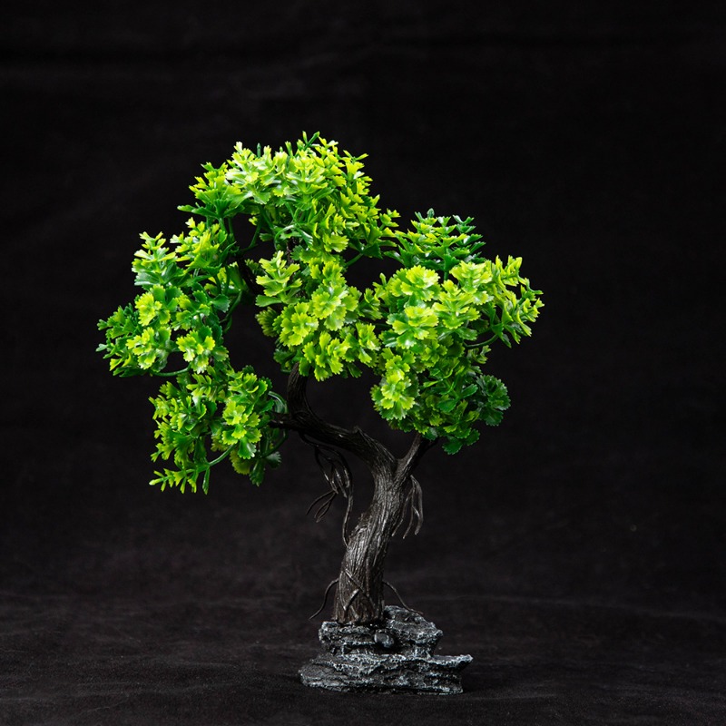 Neue Simulation Moos Baum Aqua – Aquarium Plant Guide Bewertung und Preis