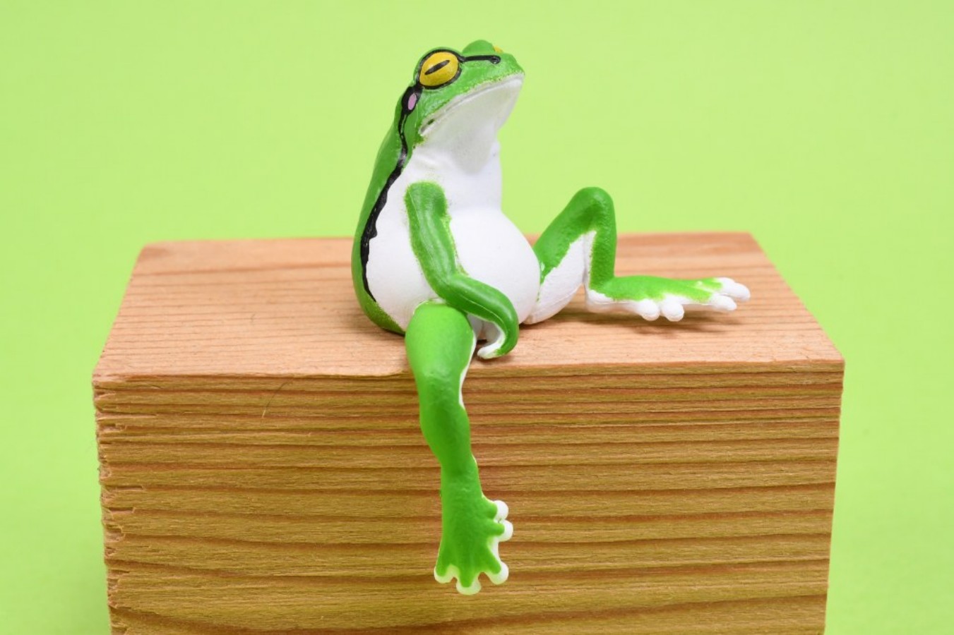 YELL Kapselspielzeug Kawaii Au – Aquarium Plant Guide Bewertung und Preis