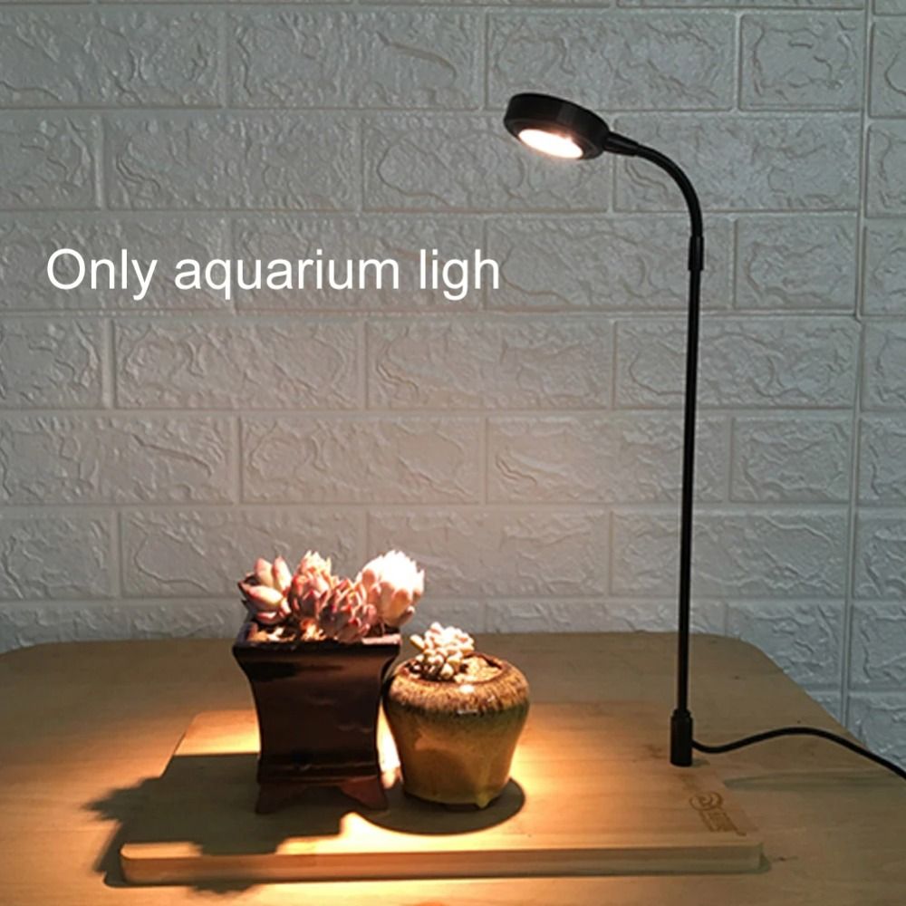 10 W Aquarium-Pflanzenfülllamp – Aquarium Plant On Wood Bewertung und Preis