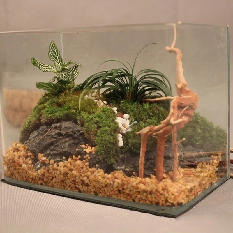 Natürlicher Baumstamm Treibhol – Aquarium Plant Guide Bewertung und Preis