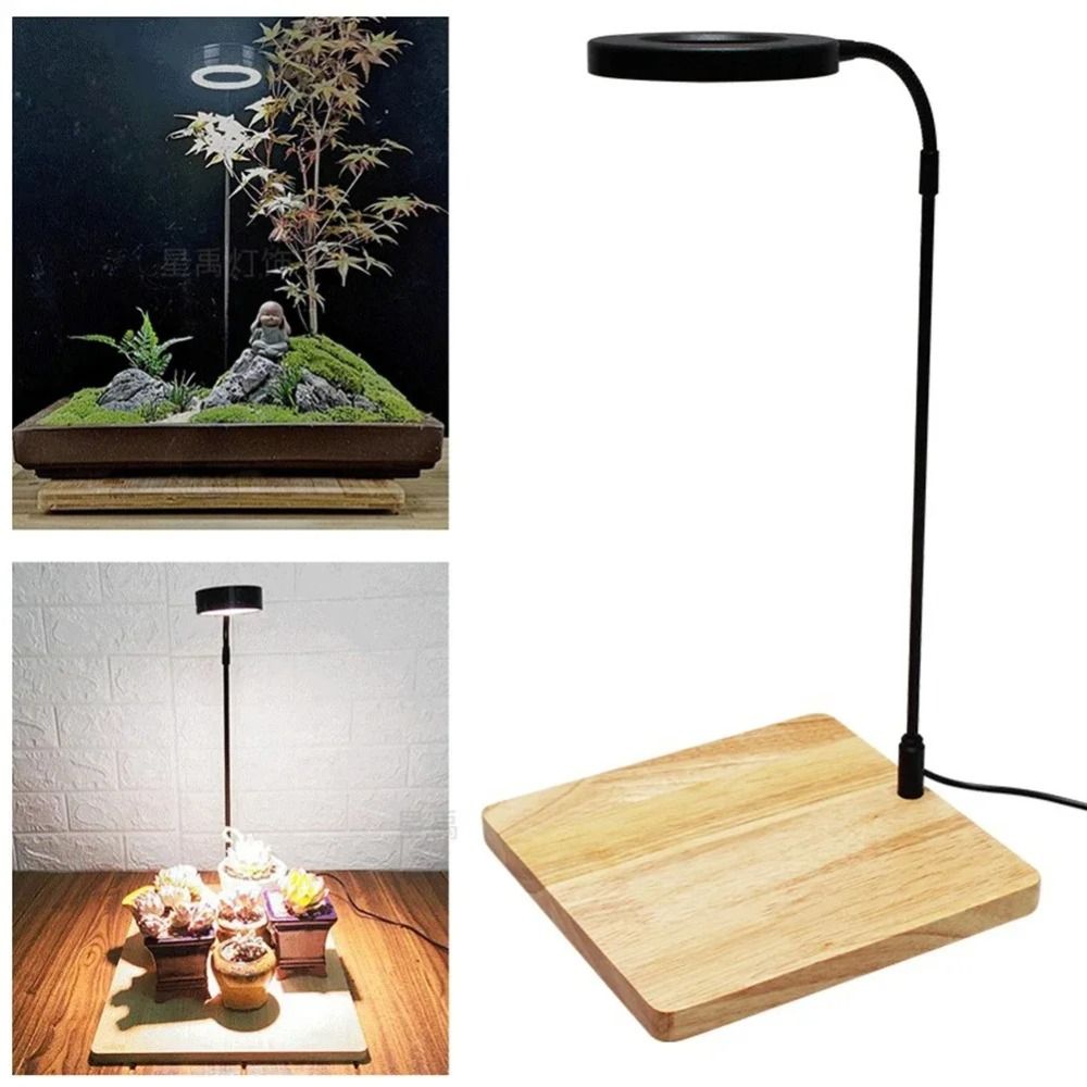 10 W Aquarium-Pflanzenfülllamp – Aquarium Plant On Wood Bewertung und Preis