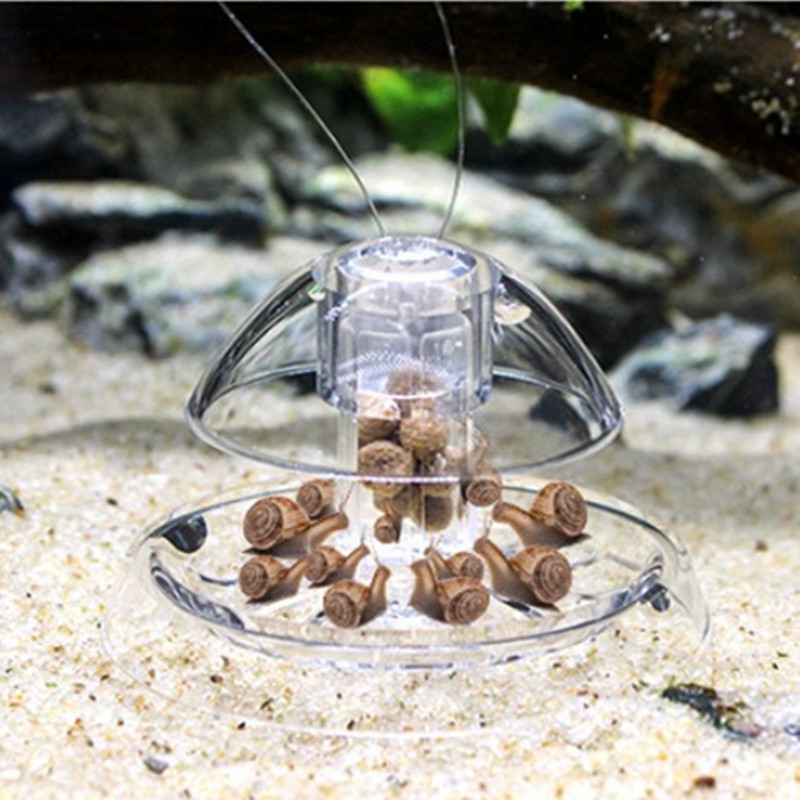 1 Stück Aquarium Aquarium Rein – Aquarium For Planted Tank Bewertung und Preis