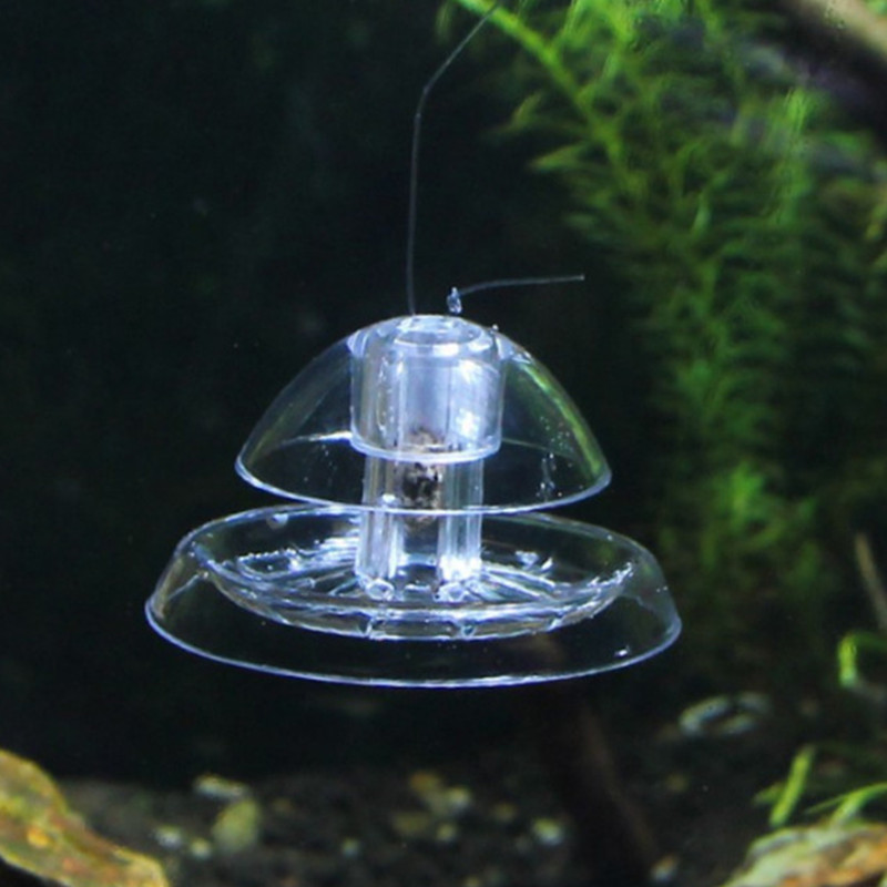 1 Stück Aquarium Aquarium Rein – Aquarium For Planted Tank Bewertung und Preis