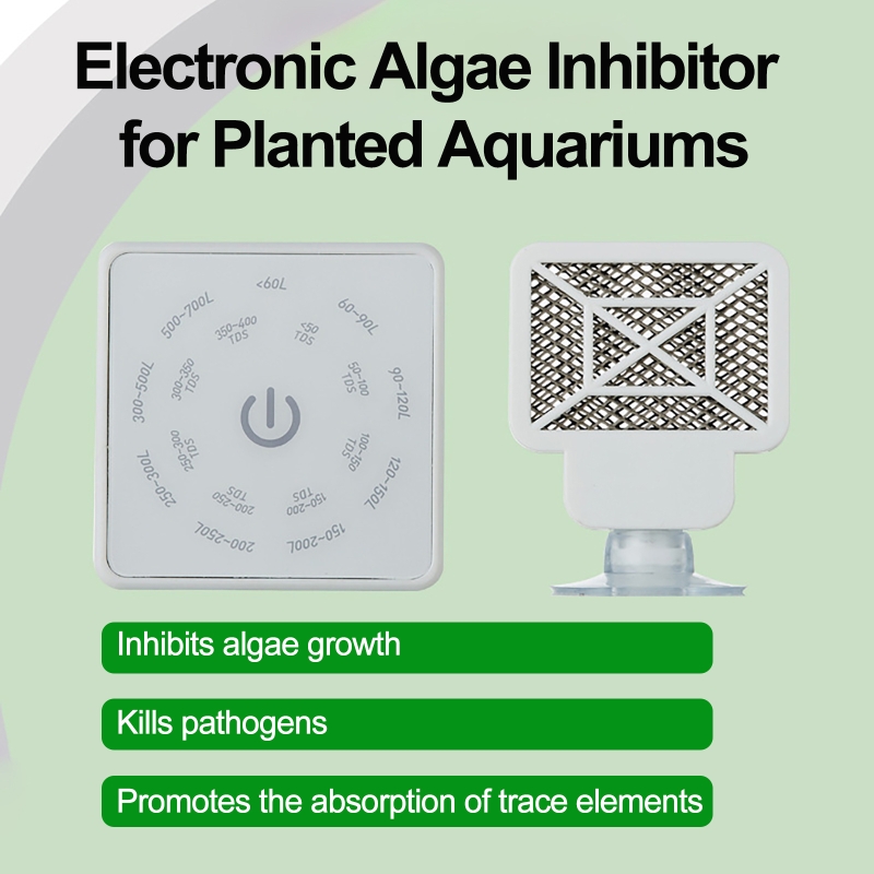 100-240V 50/60Hz Elektronische – Planted Aquarium Algae Remover Bewertung und Preis
