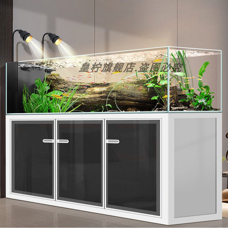 Yjq Industrielles Windstrom-Aq – Aquarium Plant Vine Bewertung und Preis
