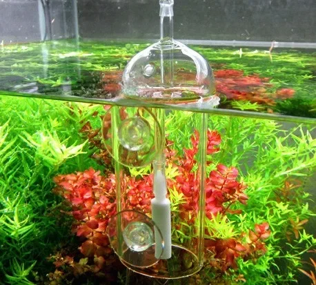 VIV Do Device Aquarium-Zylinde – Planted Aquarium Equipment Bewertung und Preis