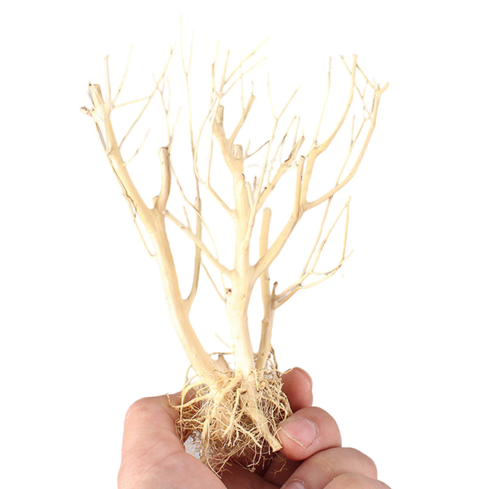 Neues DIY Treibholz-Aquarium-M – Aquarium Plant On Wood Bewertung und Preis