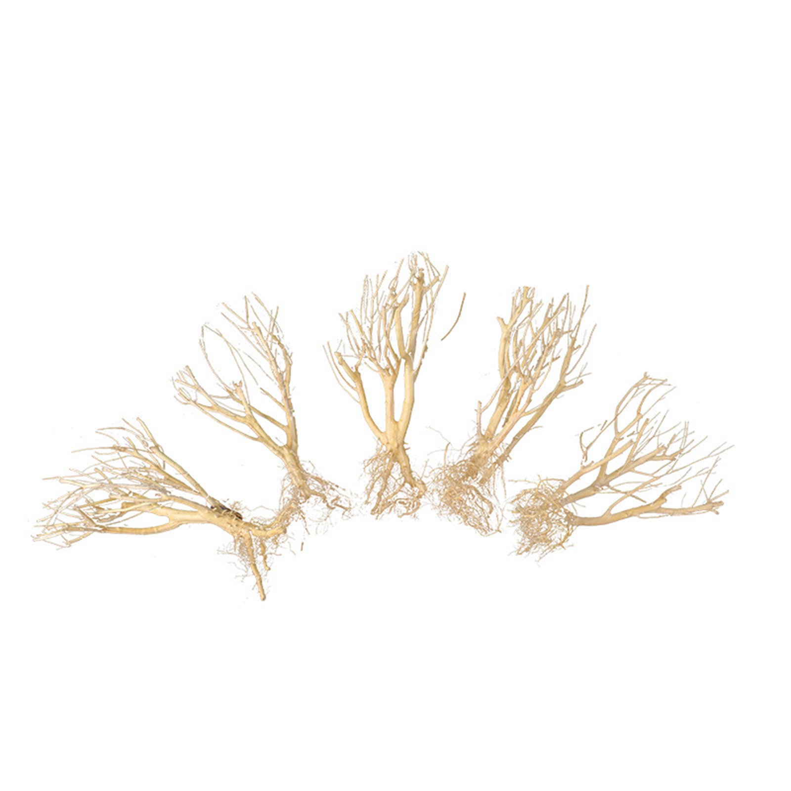 Neues DIY Treibholz-Aquarium-M – Aquarium Plant On Wood Bewertung und Preis