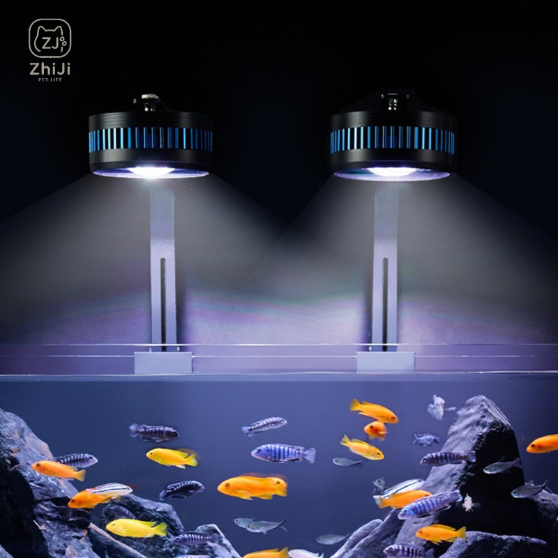 Aquarium-Downlight LED Vollspe – Aquarium Plant On Wood Bewertung und Preis