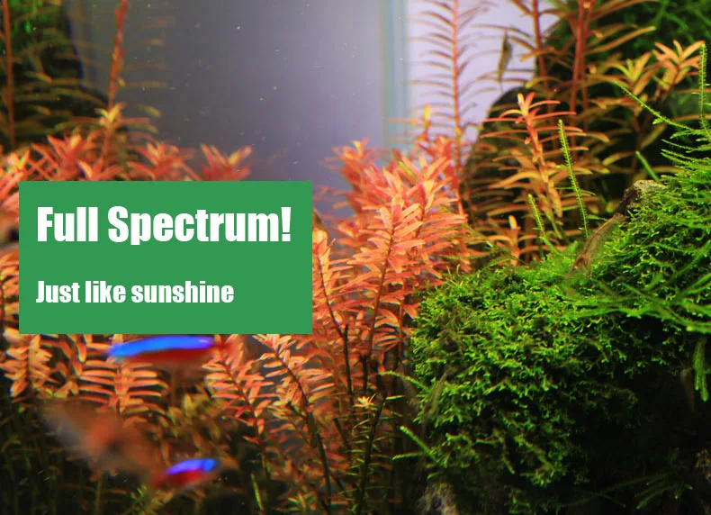 Spirituosen C-Serie ADA-Stil P – Planted Aquarium Pendant Light Bewertung und Preis