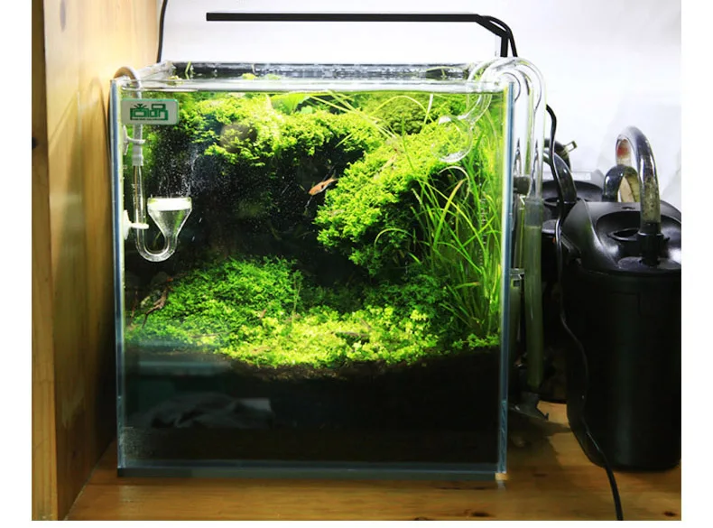 Spirituosen C-Serie ADA-Stil P – Planted Aquarium Pendant Light Bewertung und Preis