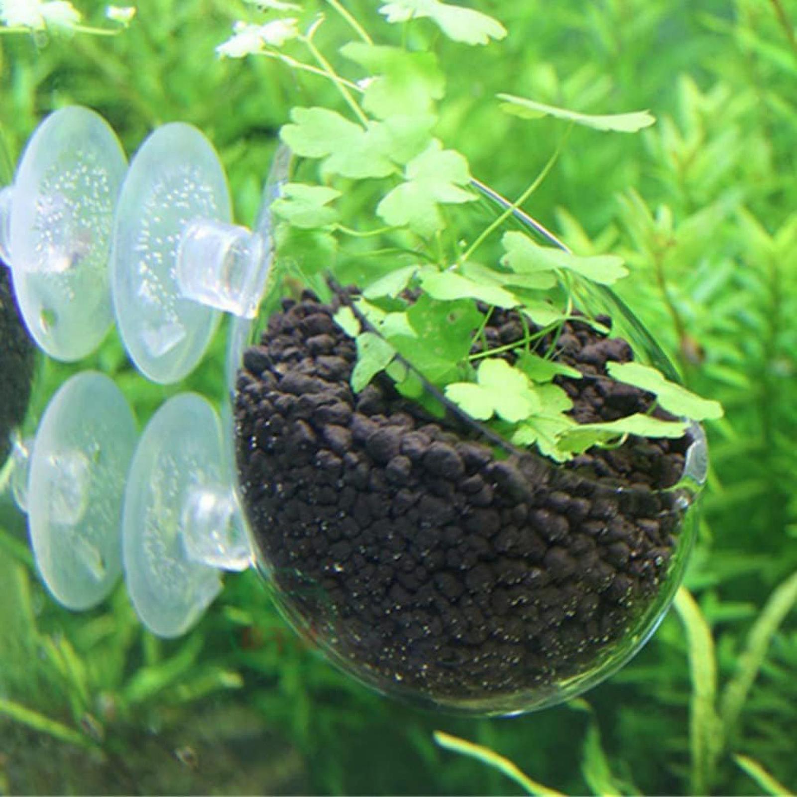 Aquarium-Glas-Pflanztopf mit S – Aquarium Plant Vine Bewertung und Preis