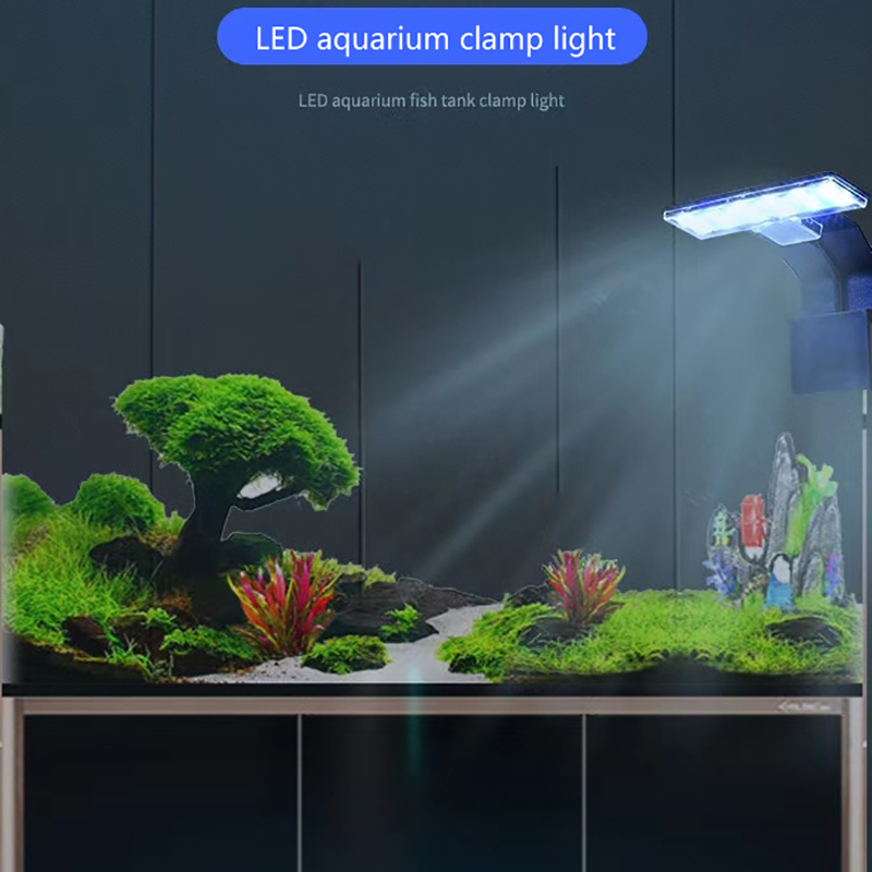【Neu】Neue LED-Wasserdichte Aqu – Planted Aquarium With Fish Bewertung und Preis