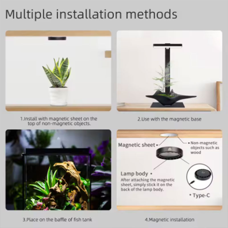 WEEK AQUA Mag Pro Mag Max Nano – Planted Aquarium Equipment Bewertung und Preis