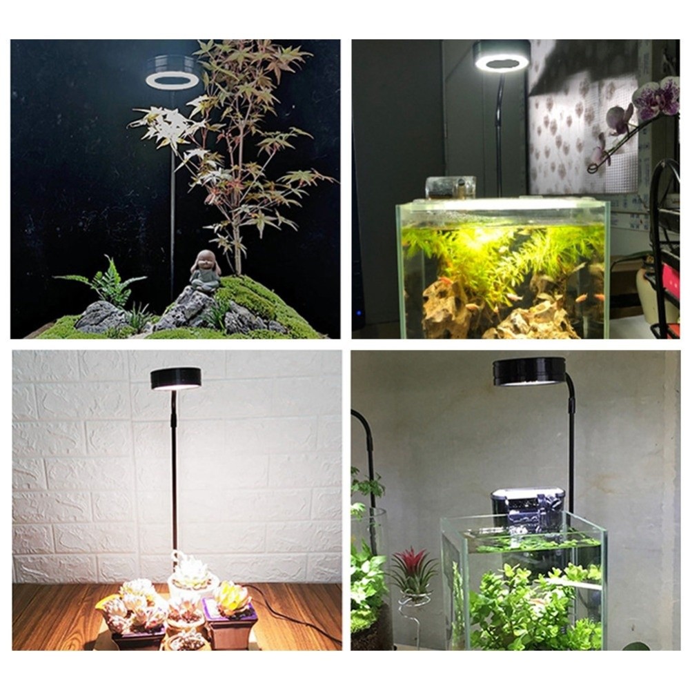 10 W Aquarium-LED-Lampe mit Ho – Aquarium Plant On Wood Bewertung und Preis