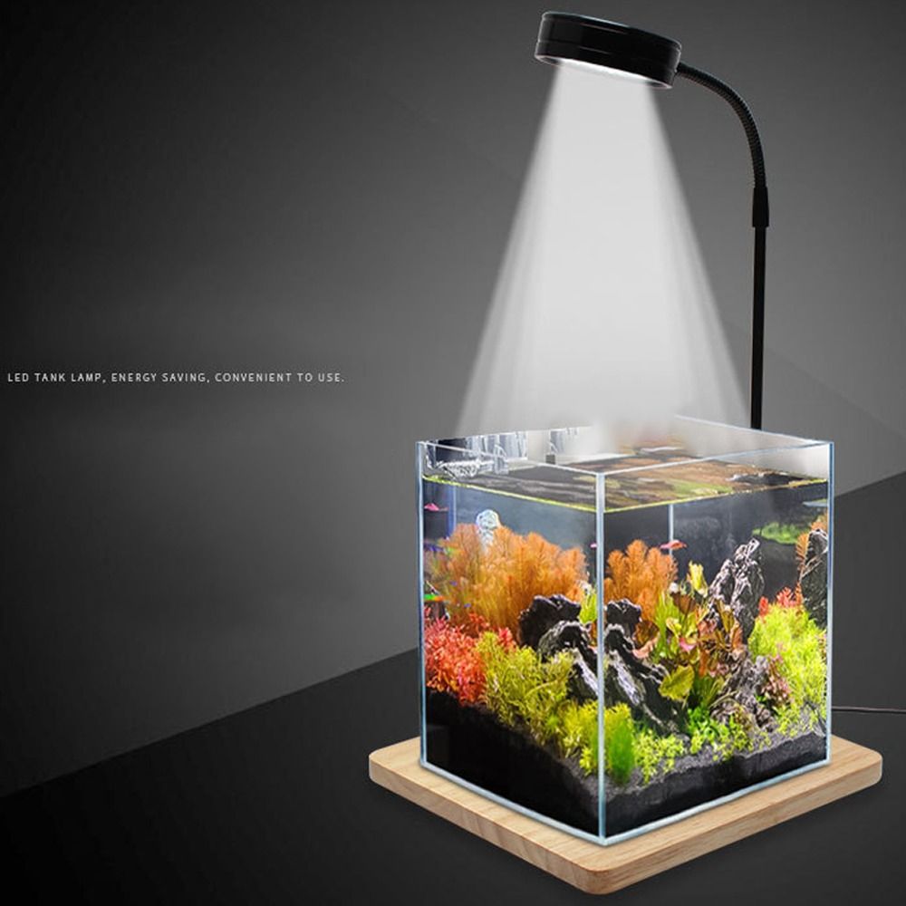 10 W Aquarium-LED-Lampe mit Ho – Aquarium Plant On Wood Bewertung und Preis