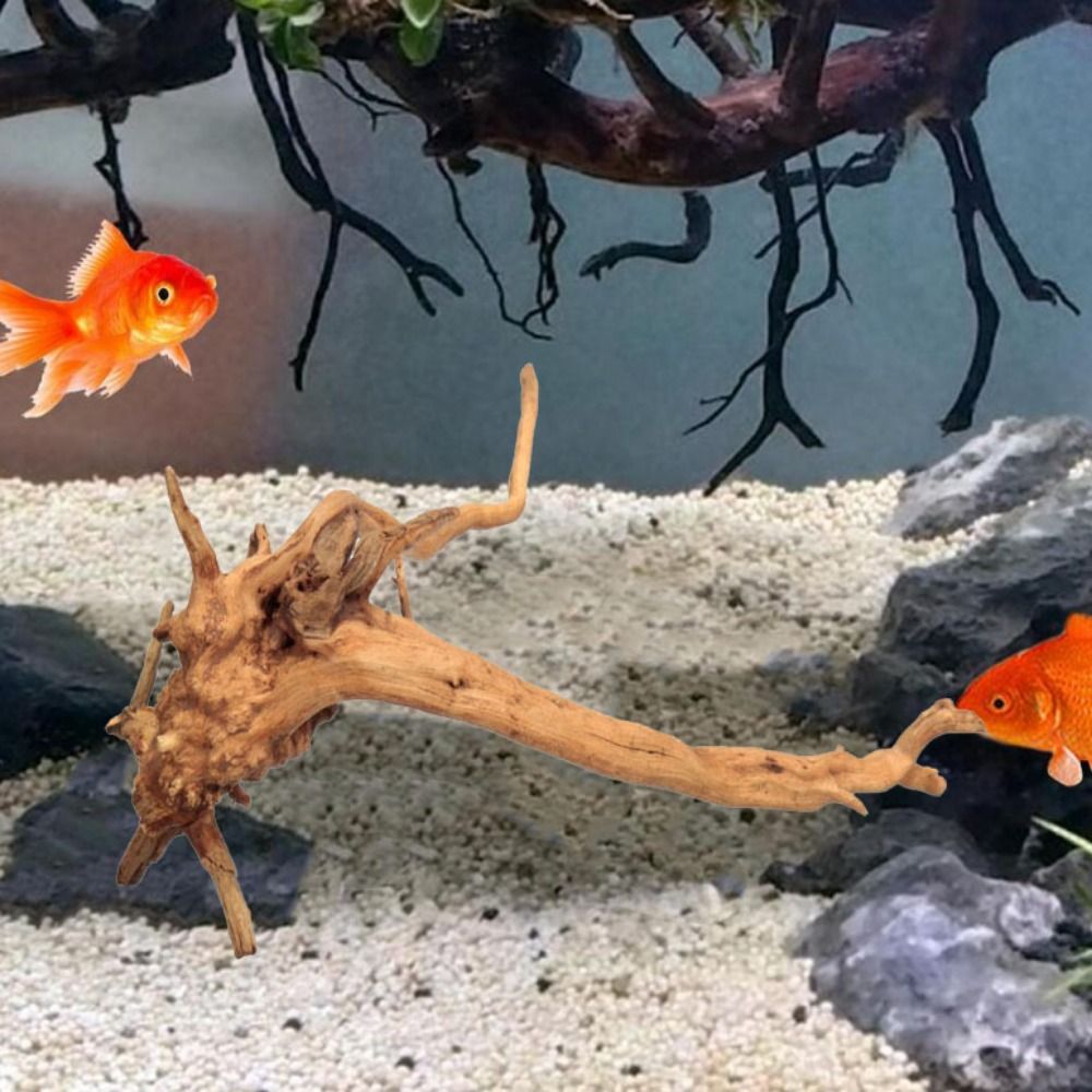 Natürliche Baumstamm Aquarium  – Aquarium Plant Guide Bewertung und Preis