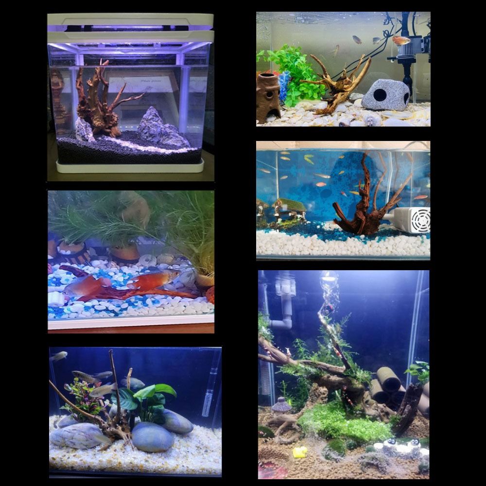 Natürliche Baumstamm Aquarium  – Aquarium Plant Guide Bewertung und Preis