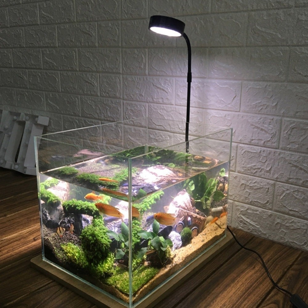 10W Aquarium LED-Lampe mit Hol – Aquarium Plant On Wood Bewertung und Preis