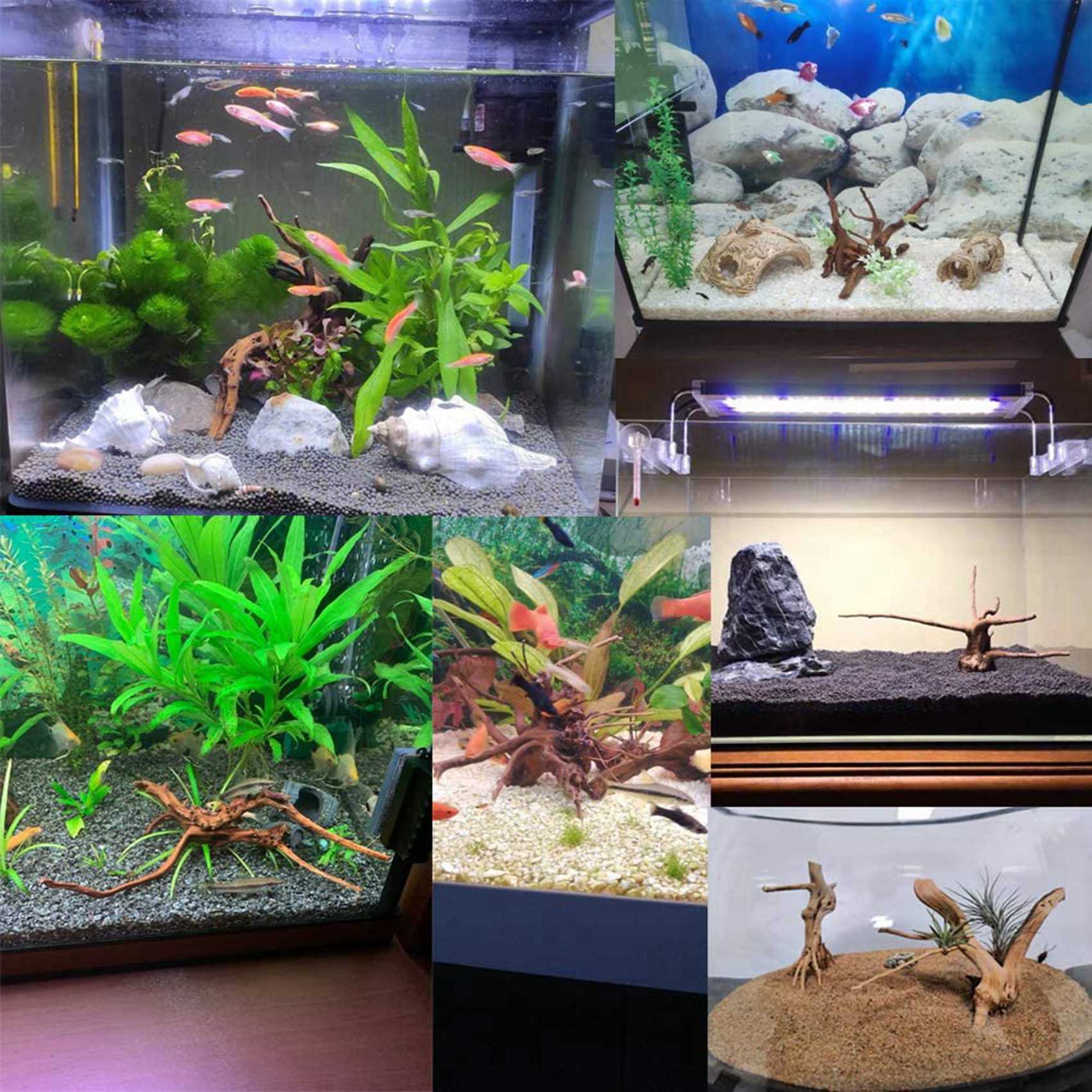 Heißer Verkauf-Mini Treibholz  – Aquarium Plant Guide Bewertung und Preis