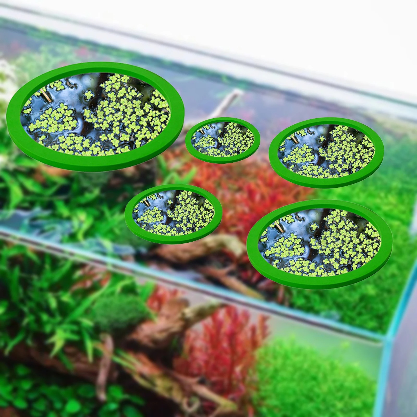 5Pcs EVA Fisch Fütterung Ring  – Planted Aquarium Equipment Bewertung und Preis