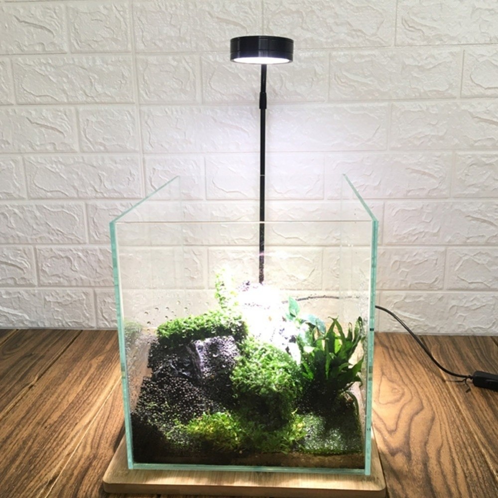 10 W LED-Lampe für Aquarien mi – Aquarium Plant On Wood Bewertung und Preis