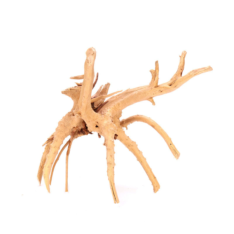 4 Stück Natürliche Holz-Aquari – Aquarium Plant Guide Bewertung und Preis