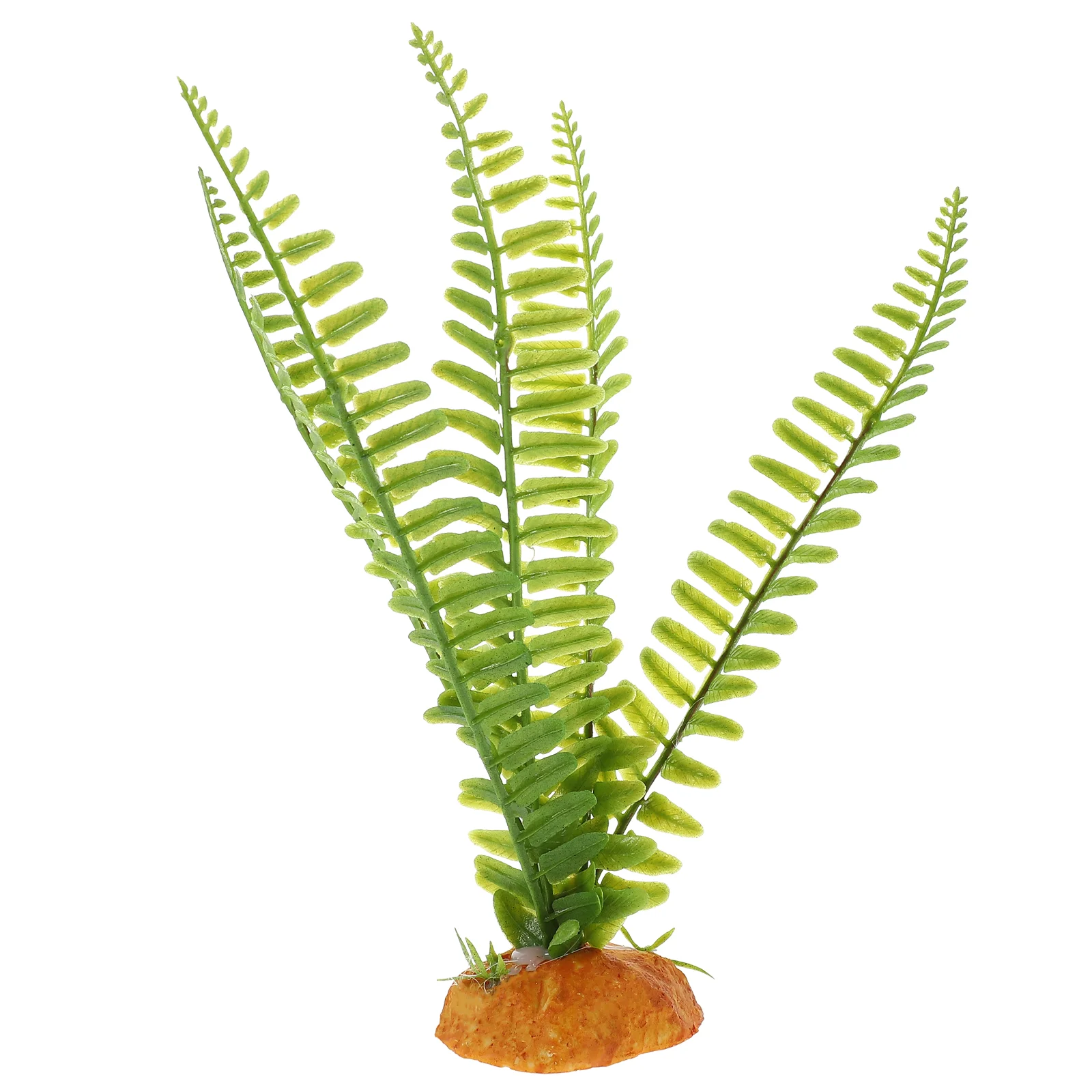 Reptilienpflanzen, Terrarium,  – Aquarium Plant Vine Bewertung und Preis