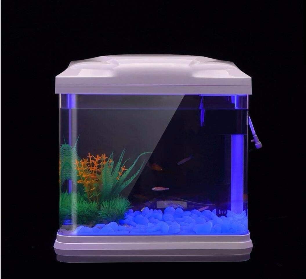 Aquarium-Felsen leuchten blaue – Planted Aquarium Equipment Bewertung und Preis