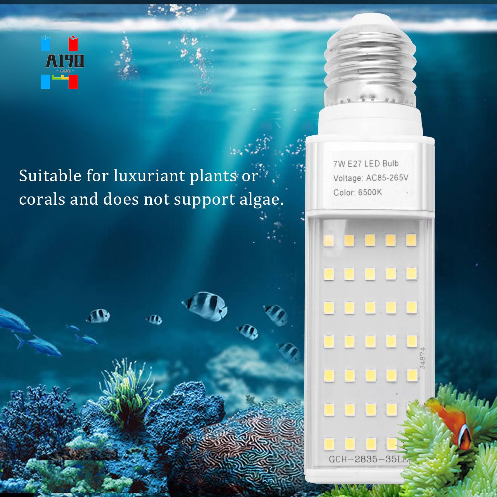 A19Q-Fishpod White Plant Aquar – Planted Aquarium Materials Bewertung und Preis