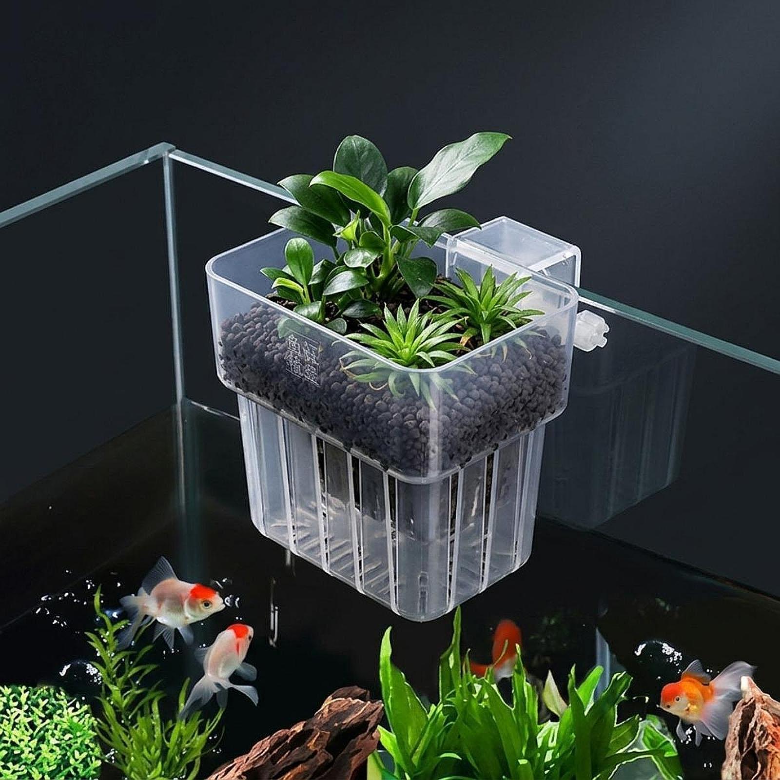 Aquarium-Pflanzenhalter Verste – Planted Aquarium Materials Bewertung und Preis