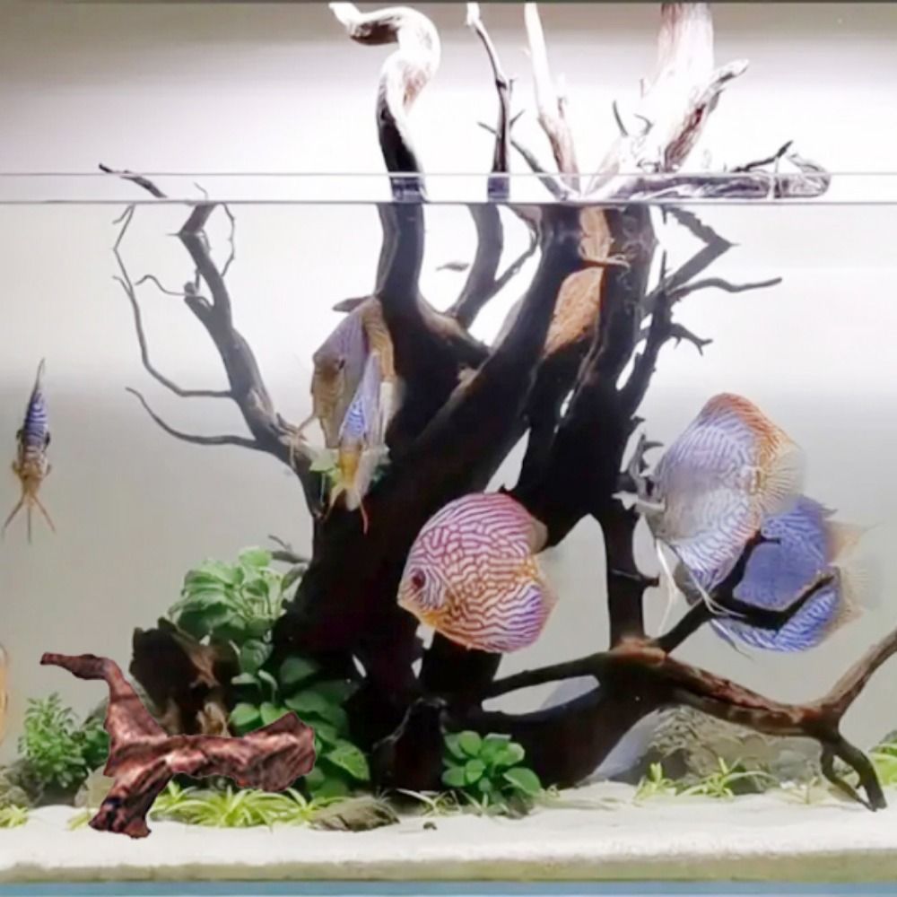 1 Stück natürliche Baumstamm A – Aquarium Plant Guide Bewertung und Preis