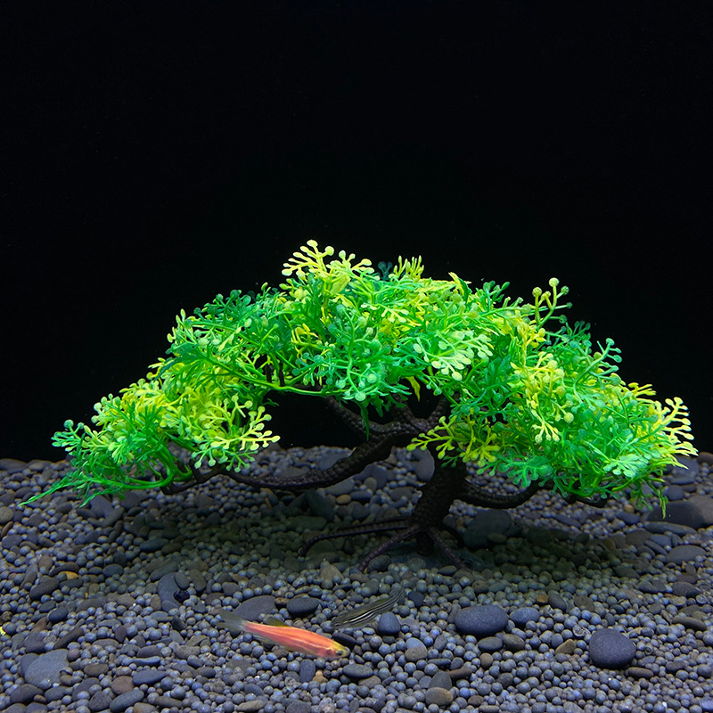 Aquarium-Bonsai-Baum, Pflanze, – Aquarium Plant Guide Bewertung und Preis