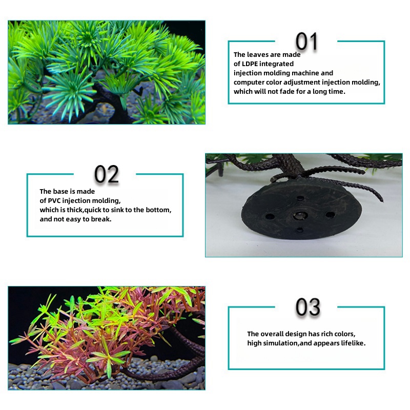 Aquarium-Bonsai-Baum, Pflanze, – Aquarium Plant Guide Bewertung und Preis