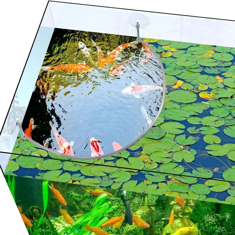 Floating Plant Corral Fish Fee – Planted Aquarium Equipment Bewertung und Preis