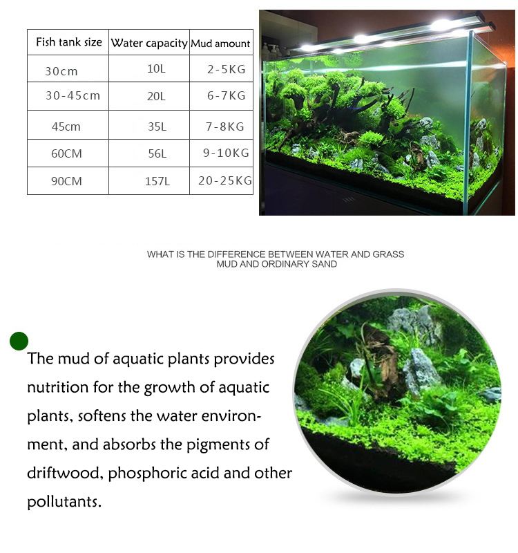 Aquarium Pflanzen Samen Boden  – Aquarium For Planted Tank Bewertung und Preis