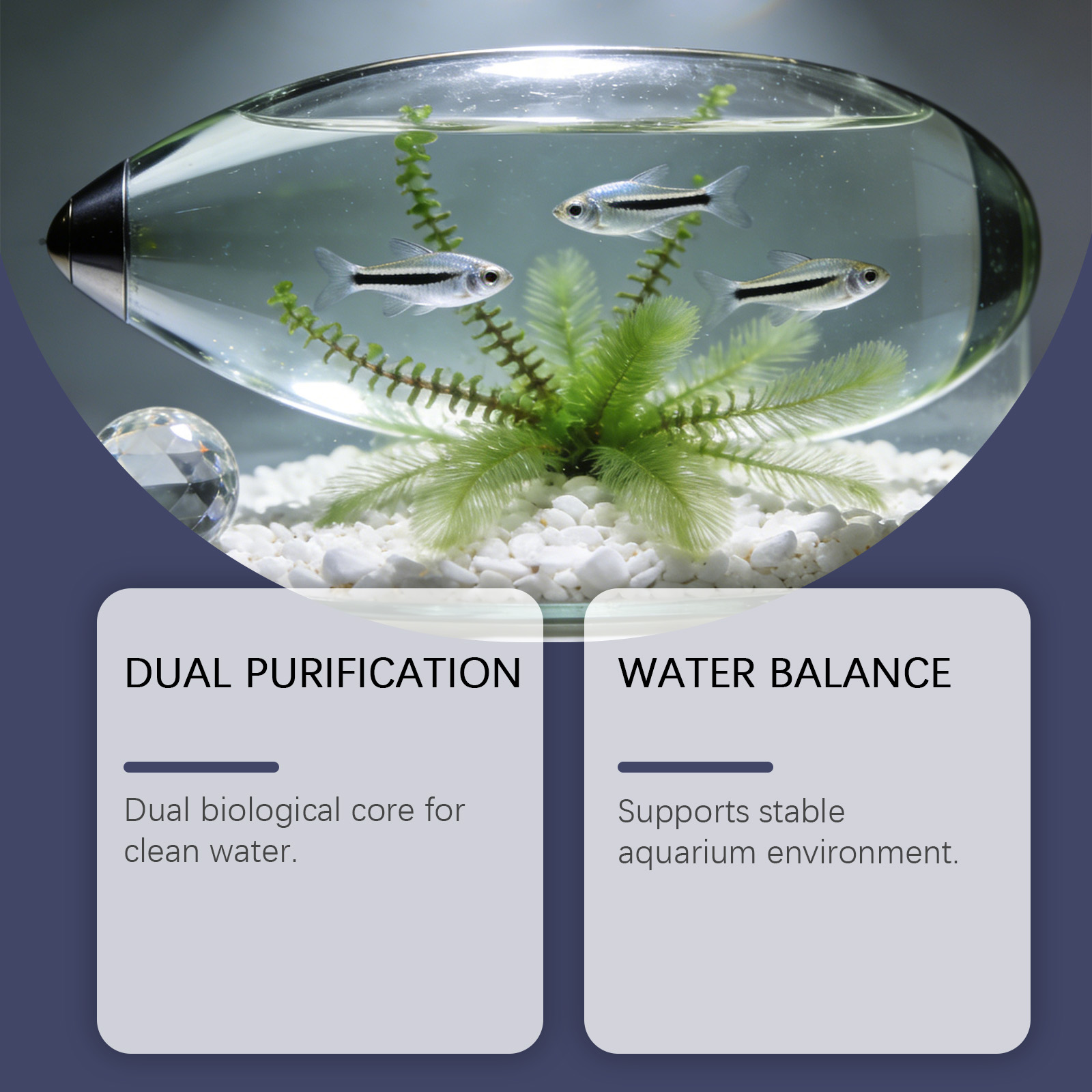 Algenentferner-Tabletten für A – Planted Aquarium Algae Remover Bewertung und Preis