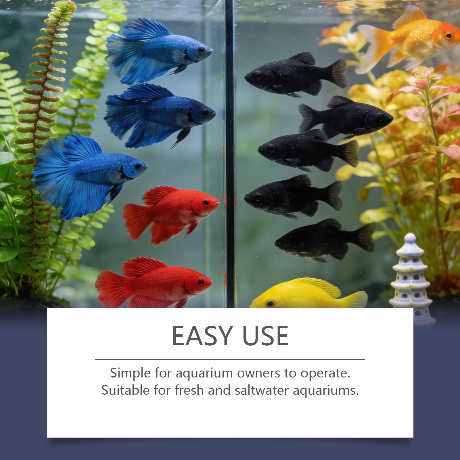 Algenentferner-Tabletten für A – Planted Aquarium Algae Remover Bewertung und Preis
