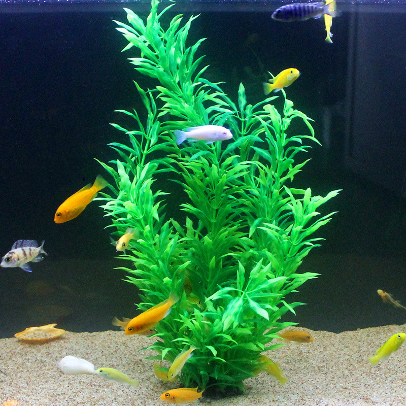 50CM Künstliche Aquarium Selte – Planted Aquarium Equipment Bewertung und Preis