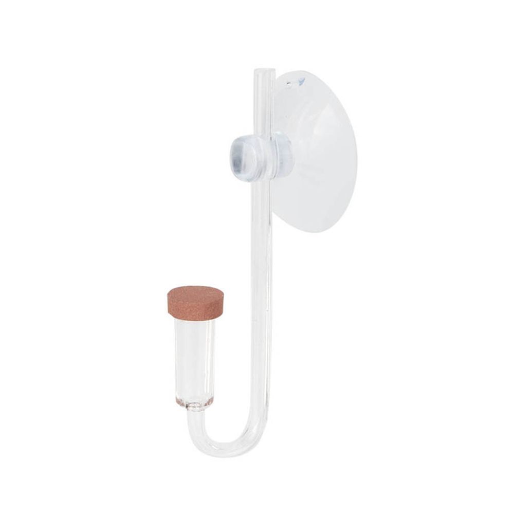 Acryl Mini Aquarium Live Pflan – Planted Aquarium Equipment Bewertung und Preis