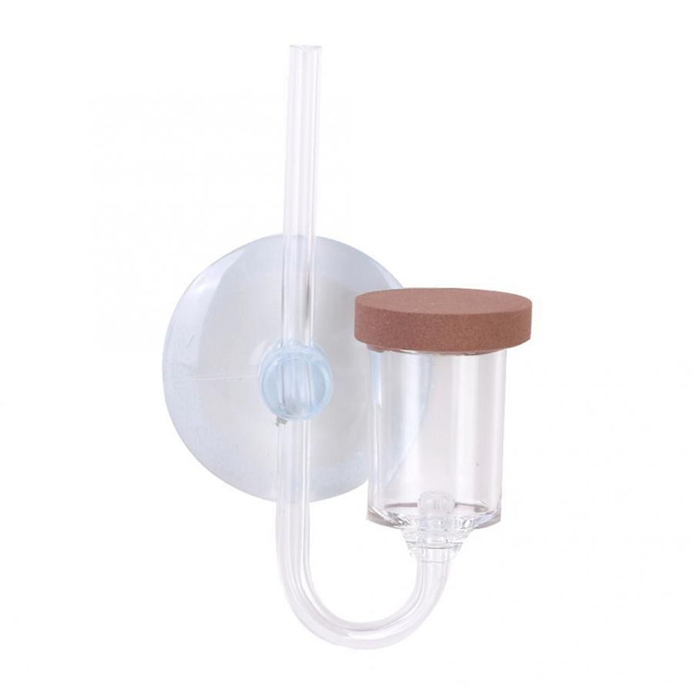 Acryl Mini Aquarium Live Pflan – Planted Aquarium Equipment Bewertung und Preis