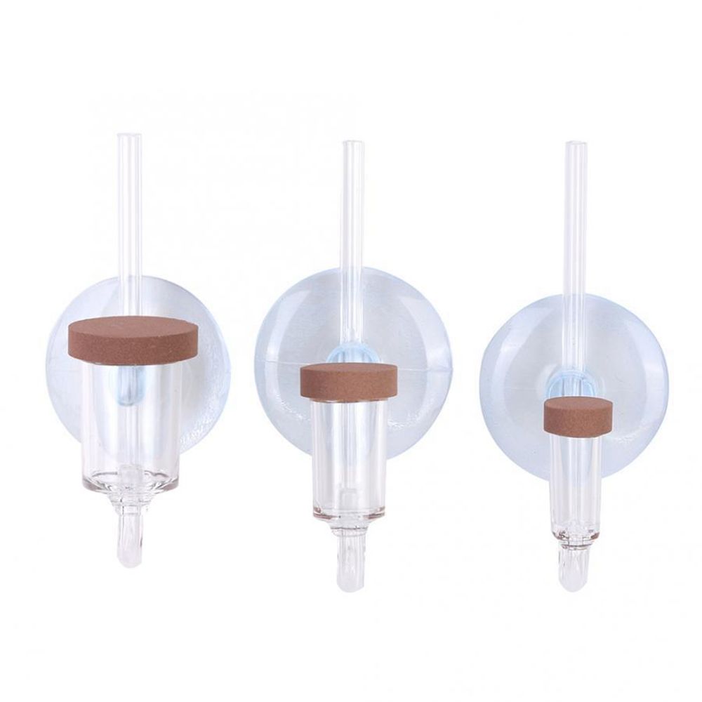 Acryl Mini Aquarium Live Pflan – Planted Aquarium Equipment Bewertung und Preis