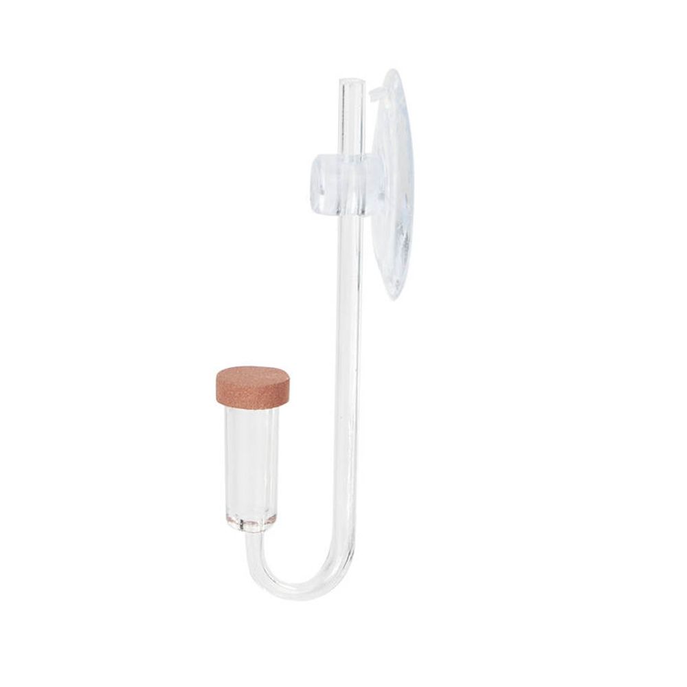 Acryl Mini Aquarium Live Pflan – Planted Aquarium Equipment Bewertung und Preis