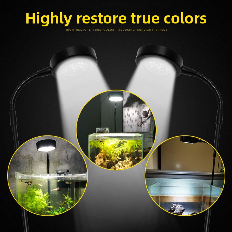 USB-Zeitgesteuerte Dimmbare Ul – Aquarium Plant On Wood Bewertung und Preis