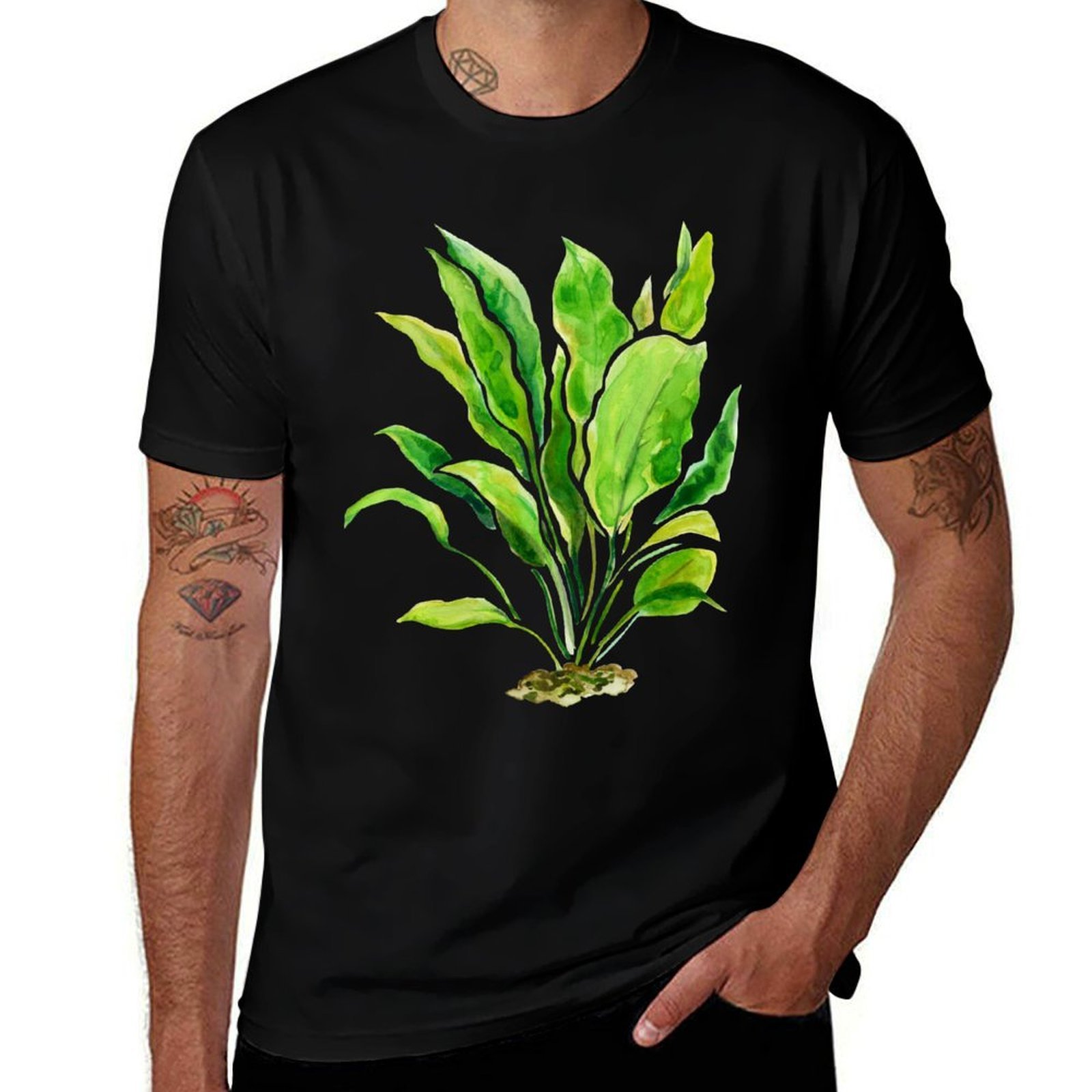 Aquarium Plants Series Amazon  – Planted Aquarium Basics Bewertung und Preis