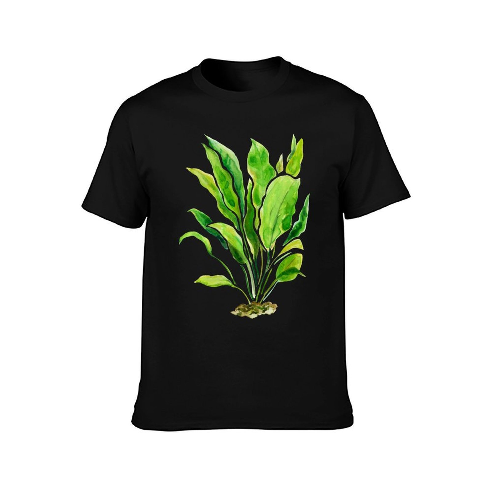 Aquarium Plants Series Amazon  – Planted Aquarium Basics Bewertung und Preis